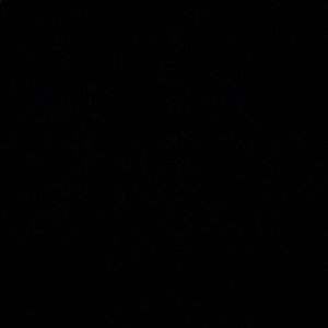 Meet your Posher, Albina